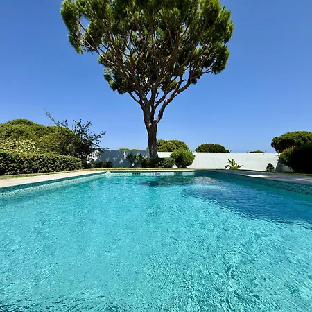 Sun & With Pool By Homing *